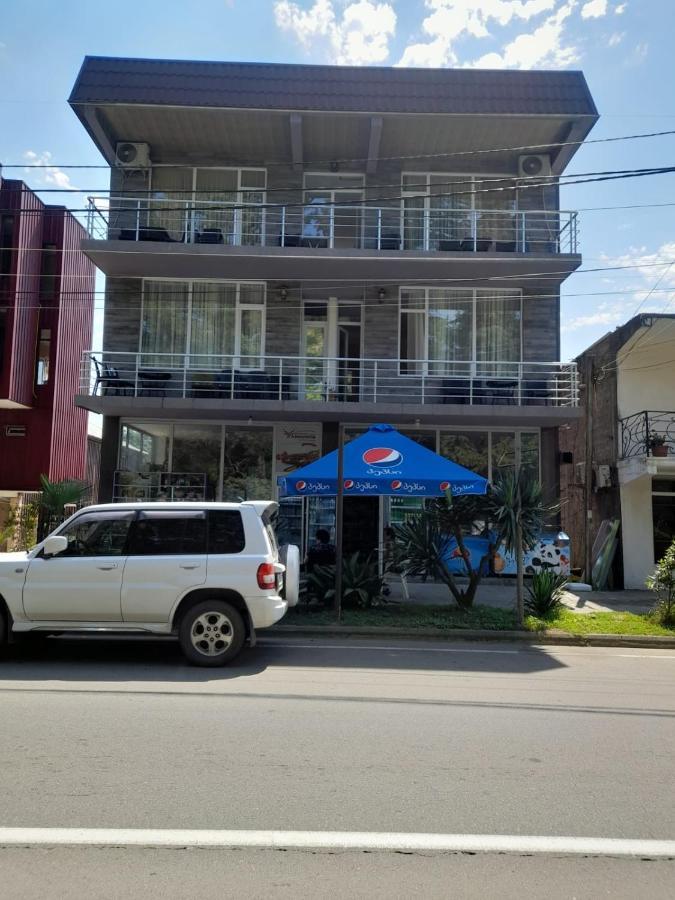 Str.Agmashenebeli 548 호텔 코불레티 외부 사진